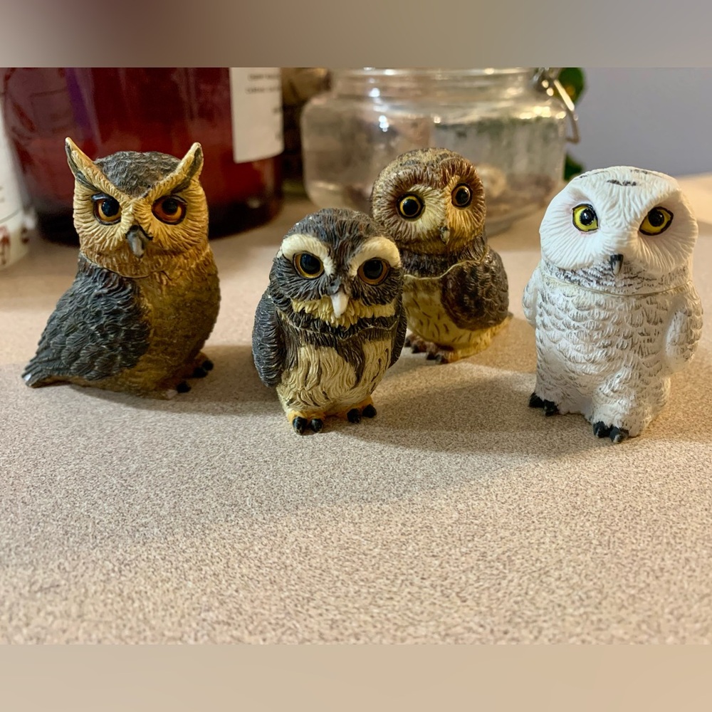 Set of Four Owl Pot Bellys® Boxes